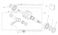 Arbre moteur