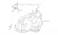 Carter droite