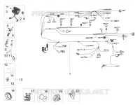 CIRCUIT ELECTRIQUE AVANT