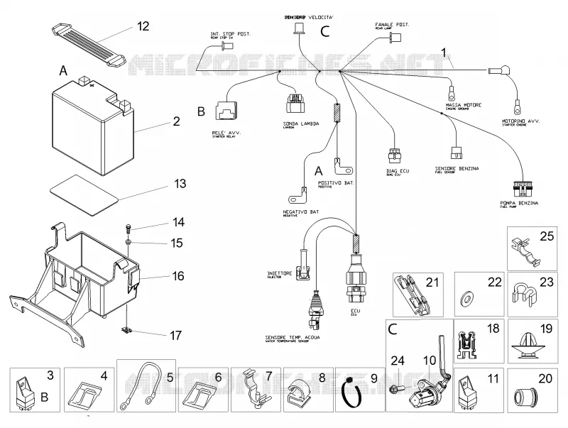 CIRCUIT ELECTRIQUE ARRIERE