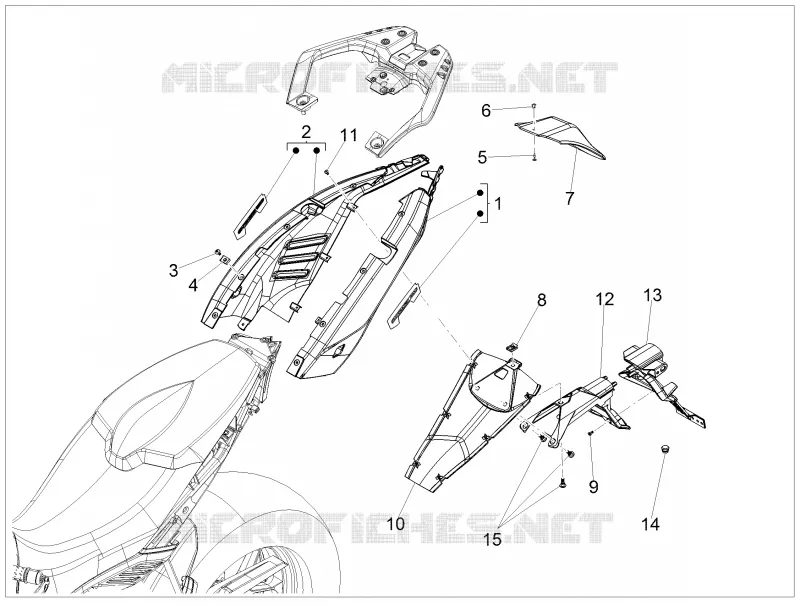 Rear body