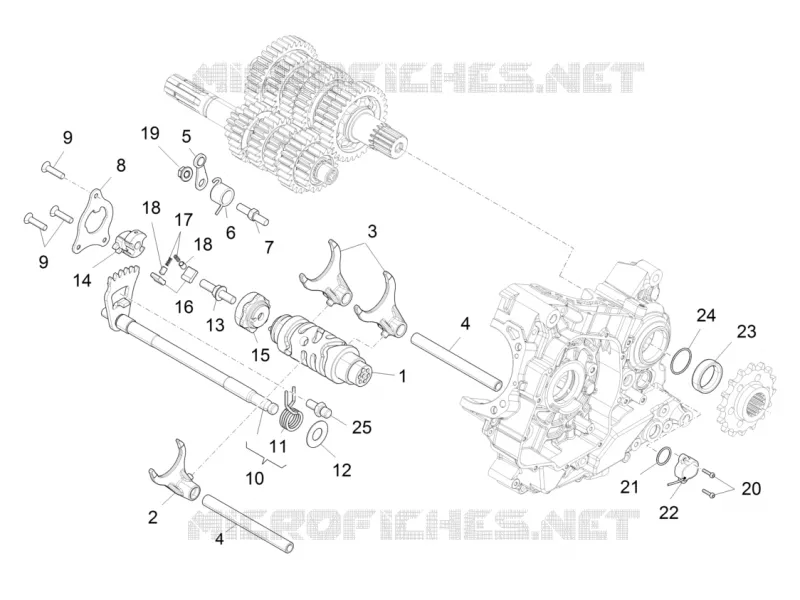 Boîte de vitesses / Selecteur / Desmodromique Aprilia APRILIA-MOTORCYCLES 1200 CAPONORD 2015  Caponord