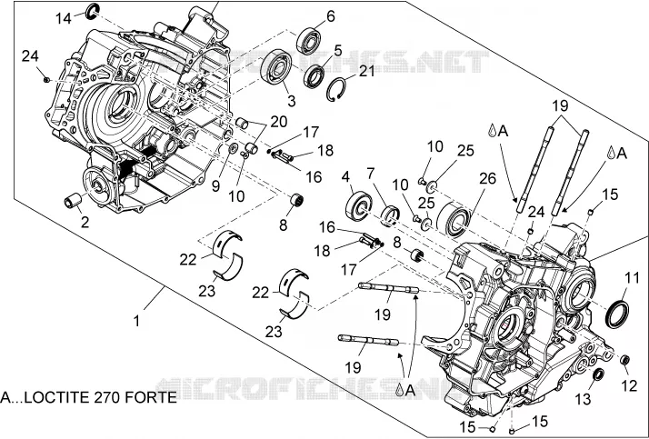 Carters I Aprilia APRILIA-MOTORCYCLES 1200 DORSODURO 2013  Dorsoduro